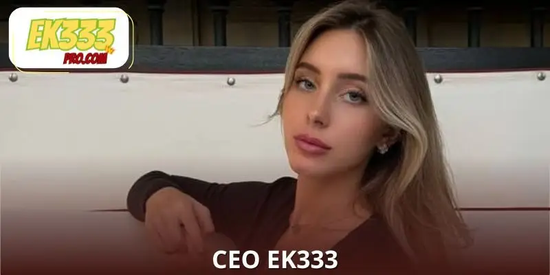 The Journey to Becoming CEO EK333 The Journey to Becoming CEO EK333