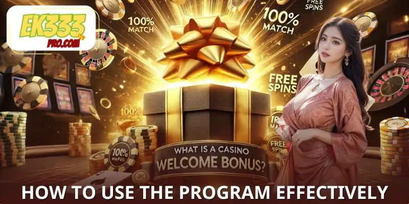 How to Take Advantage of the Program Effectively How to Take Advantage of the Program Effectively