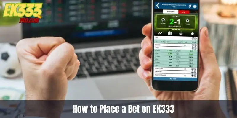 EK333-এ কীভাবে বাজি ধরবেন EK333-এ কীভাবে বাজি ধরবেন