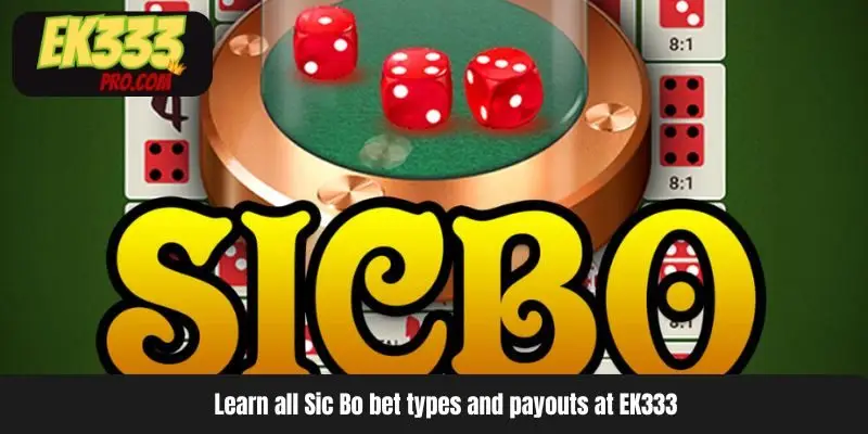 Learn all Sic Bo bet types and payouts at EK333
