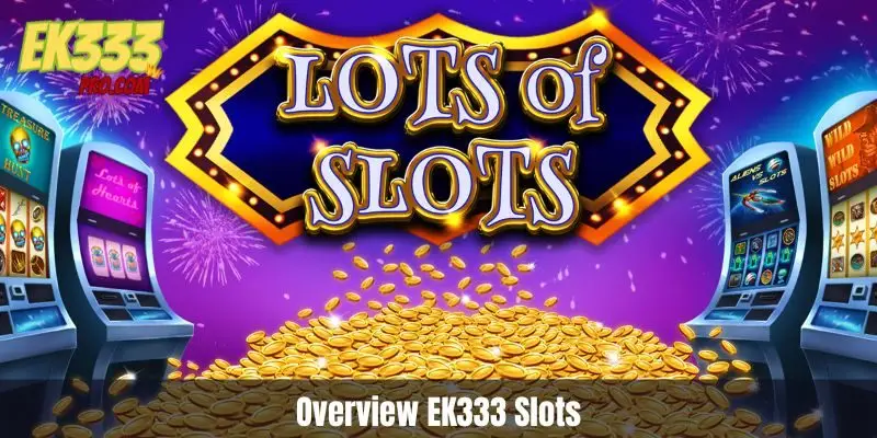 ওভারভিউ EK333 স্লট