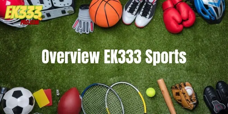 ওভারভিউ EK333 স্পোর্টস ওভারভিউ EK333 স্পোর্টস