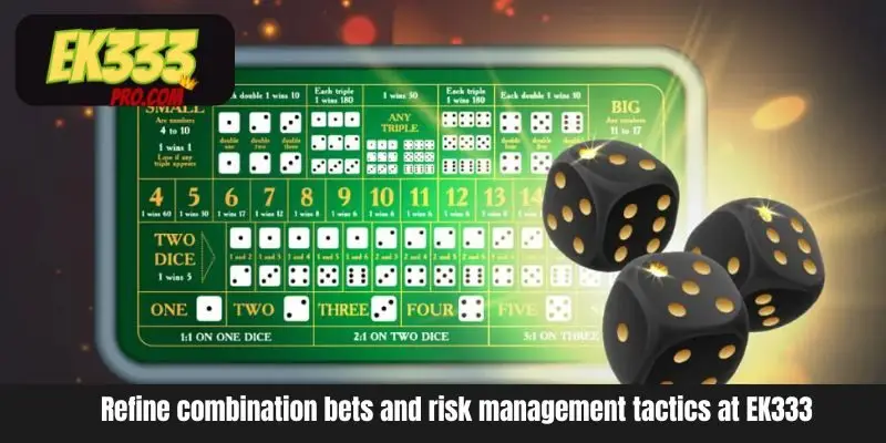 EK333-এ কম্বিনেশন বেট এবং ঝুঁকি ব্যবস্থাপনা কৌশলগুলি পরিমার্জন করুন EK333-এ কম্বিনেশন বেট এবং ঝুঁকি ব্যবস্থাপনা কৌশলগুলি পরিমার্জন করুন